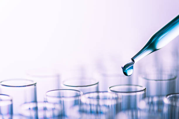 istockphoto 979512532 612x612